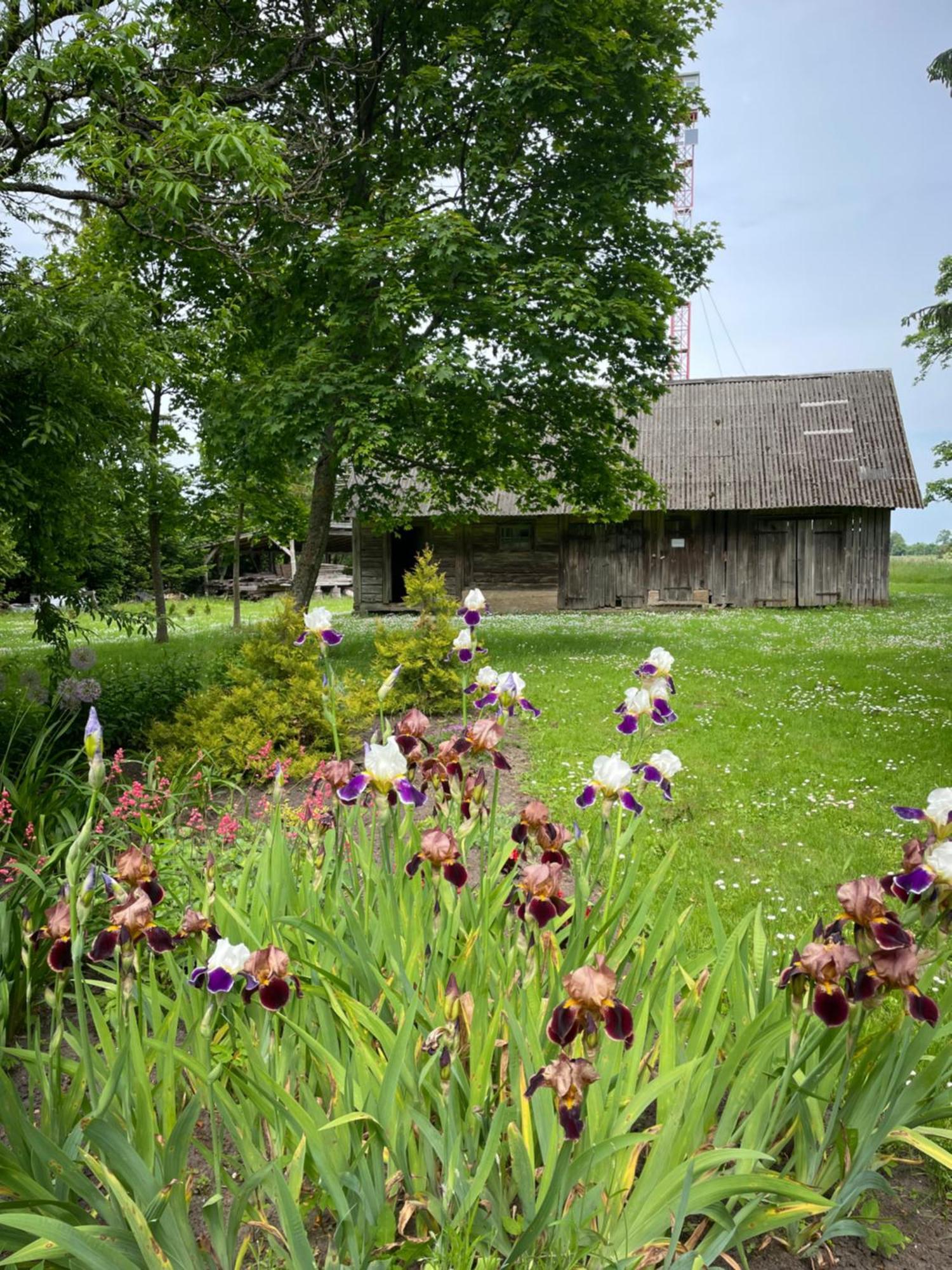Lauku Viesu Maja Bajari Rucava